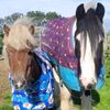 smrmgr