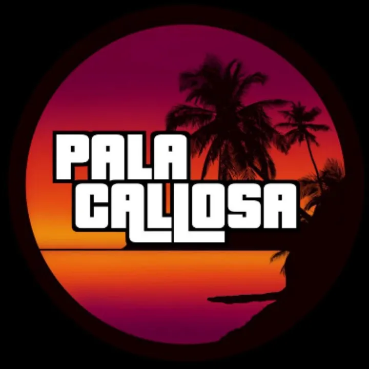 palacallosaofficial