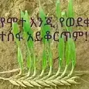 @user6032948580372