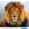 mimmo_175