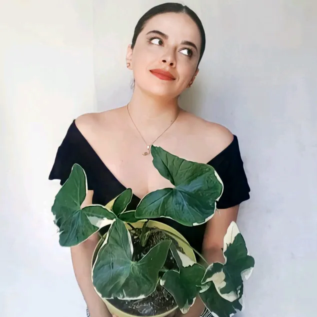 plantologia
