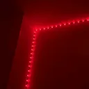 @justeunemeuf22
