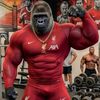 le_gorille_bodybuilder