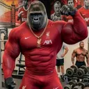 @le_gorille_bodybuilder