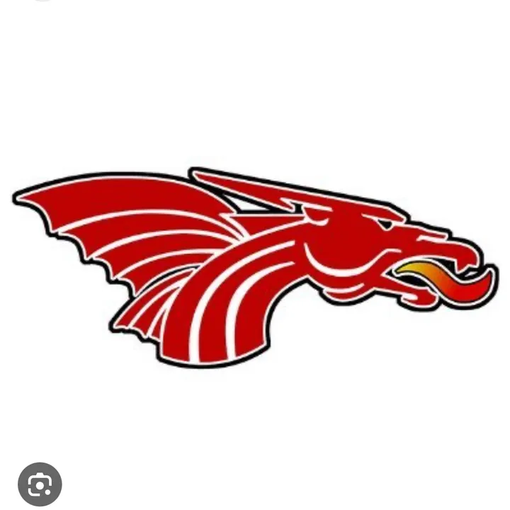 @dragon.nation