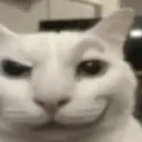 @limpbisqueef