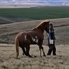 cowgirltuffcolttraining