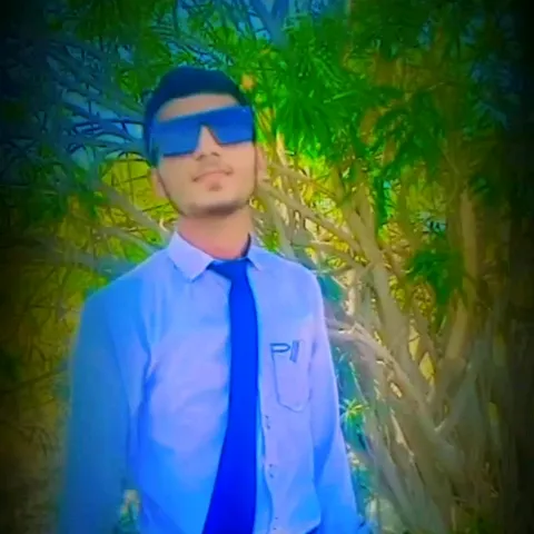ali.hassnain8686