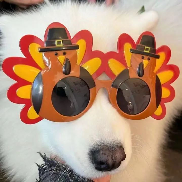 pet_fnnytimes666