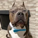 @_i_am_gotti