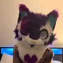 @starlightdafox_