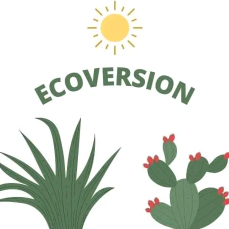 ecoversion