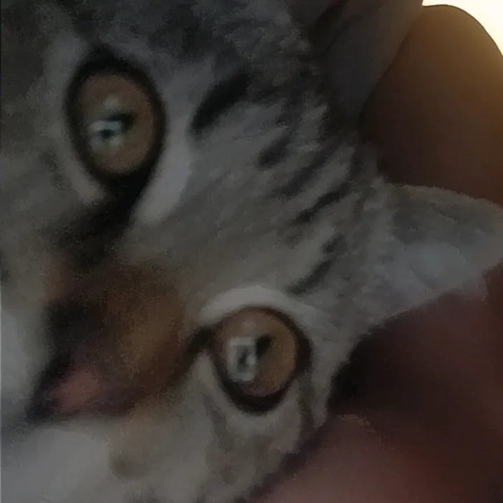 @jucktvmichnicht