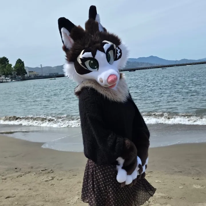 arlofurz