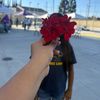 user3o11x