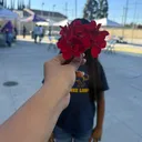 @user3o11x