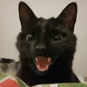 @me0wkkyyy