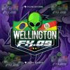 wellington.dornelles