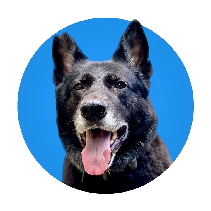 @nero_the_ky_gsd
