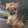 binkythechichi