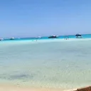 @scarlet.maurice4