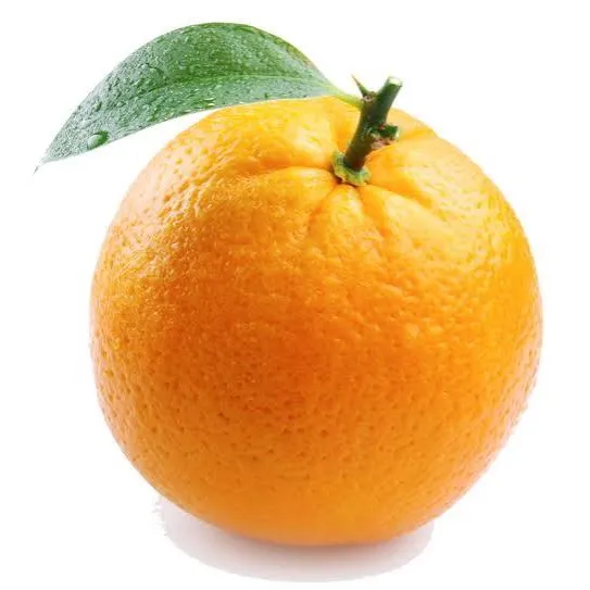 orange148463