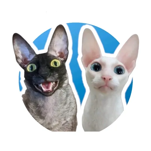 pixelandsophie