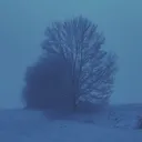 @ft_bhv