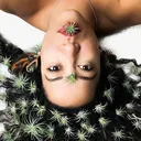 @rosalynlee