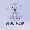 soulbliss.shop