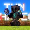 txnjavapvp4