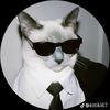 miaou.catz