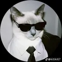 @miaou.catz