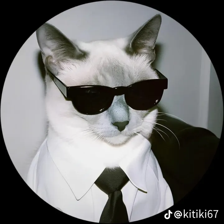 @miaou.catz