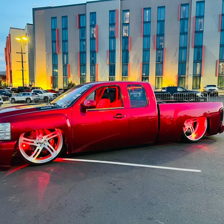 tavoocityexotics
