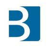 budroniconsulting