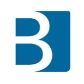 budroniconsulting