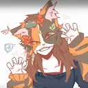 @mistythecalicomainecoon
