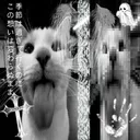 @x.0liwk44.x