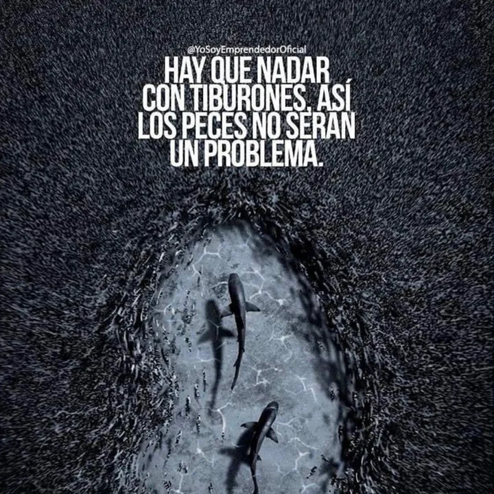 @alfa.mx8