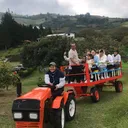 @elmolinosanjosedeminas