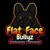 flatfacebullyz