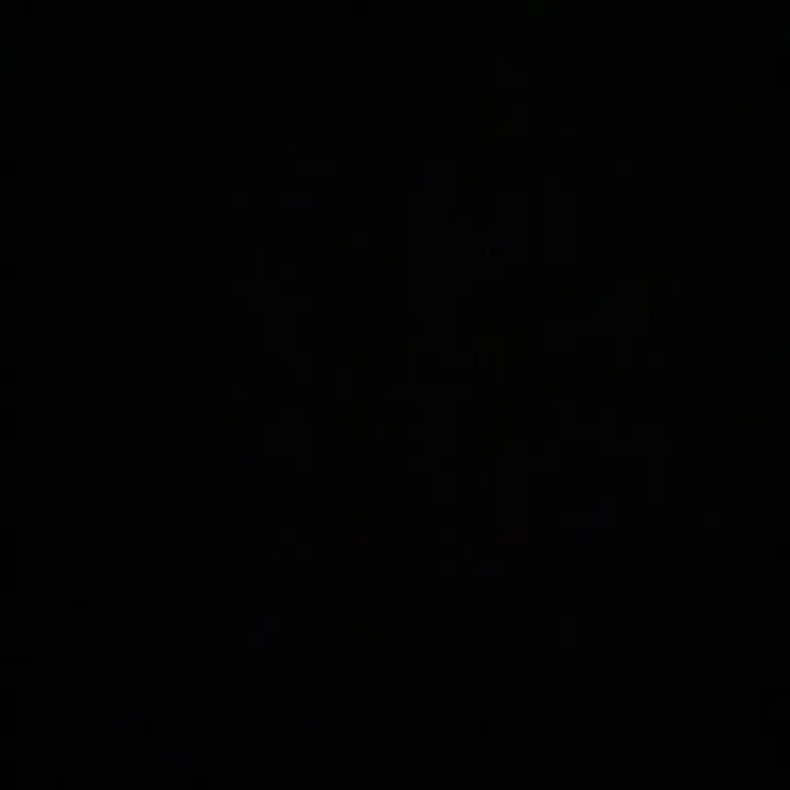 @anais_dlnn