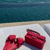 yara_9231