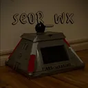 @s.e.o.r_wx