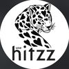 usehitzz.br