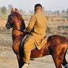 arslanbuttghazi65