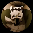 @sane_va_pas3