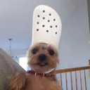@killerswag1