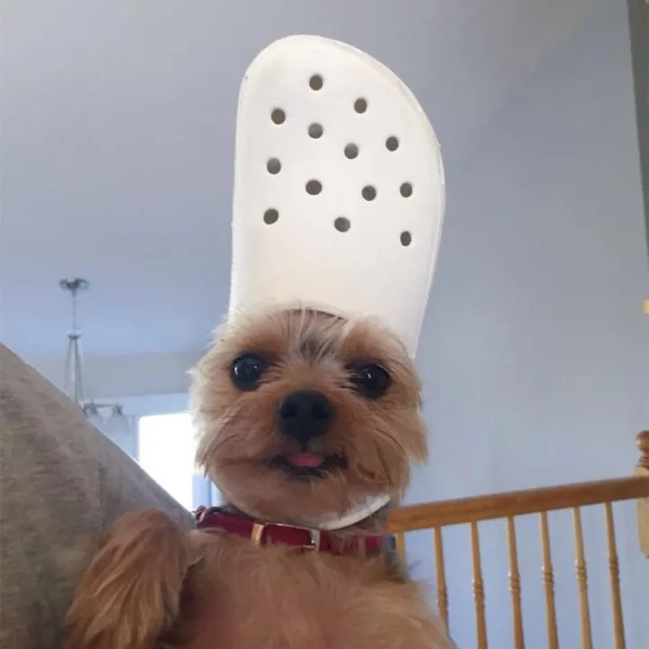 @killerswag1